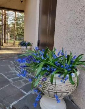 Дом в Воронежская область, Рамонский район, Айдаровское с/пос, ...