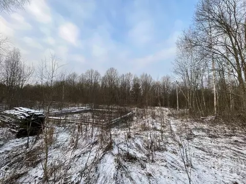 Участок в Ленинградская область, Лужский район, Заклинское с/пос, д. ...