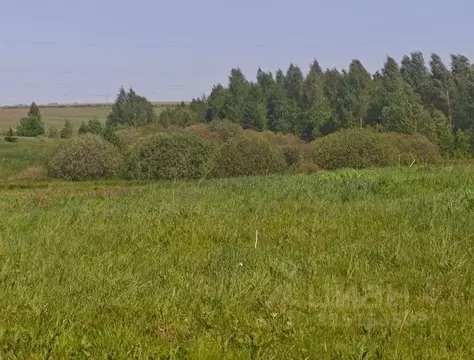 Участок в Московская область, Рузский муниципальный округ, д. Орешки  ...