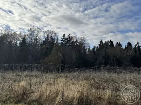 Участок в Ленинградская область, Ломоносовский район, Лопухинское ...