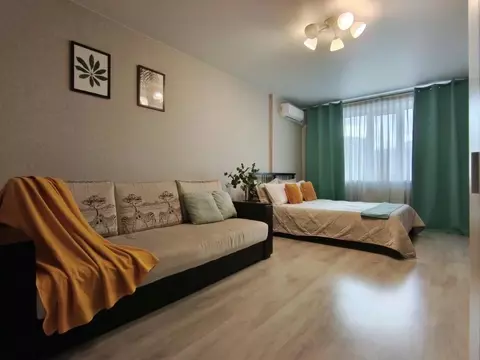 1-к кв. Самарская область, Самара Революционная ул., 101В (45.0 м)