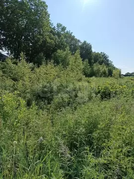 Участок в Амурская область, Благовещенск Игнатьевское ш. (11.0 сот.)