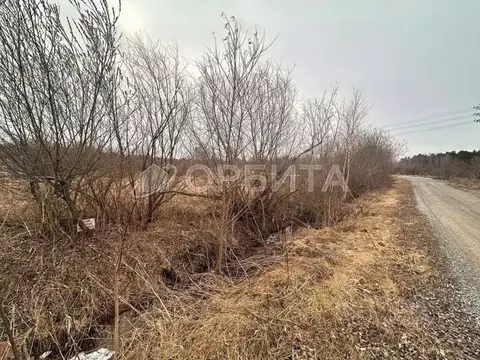 Участок в Тюменская область, Тюменский муниципальный округ, пос. ...