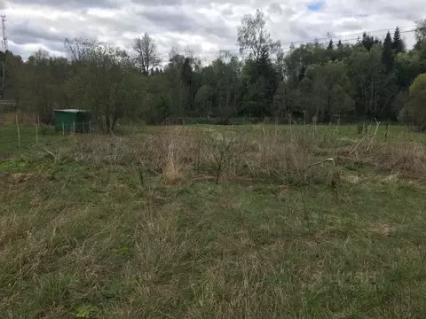 Участок в Московская область, Пушкинский городской округ, д. Раково  ...