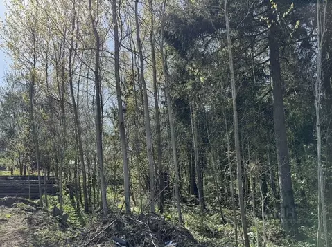 Участок в Московская область, Дмитровский муниципальный округ, д. ...