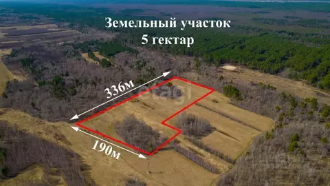 Участок в Томская область, Томский район, с. Кафтанчиково  (500.0 ...