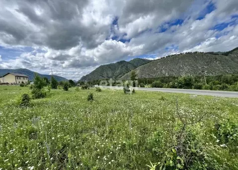 Участок в Алтай, Чемальский район, с. Анос  (12.0 сот.)