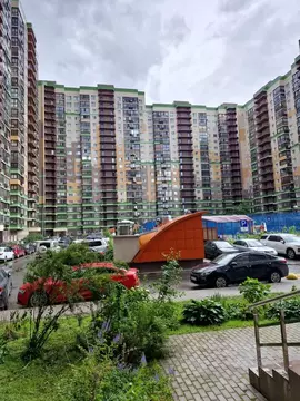 Студия Московская область, Красногорск городской округ, Путилково пгт ...