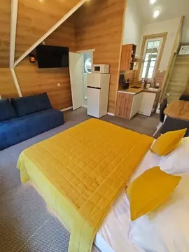 1-к кв. Алтайский край, Белокуриха Сосновый пер., 17 (22.0 м)