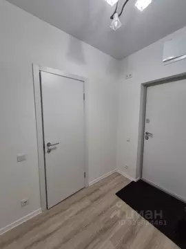 Студия Московская область, Ленинский городской округ, Мисайлово пгт, ...