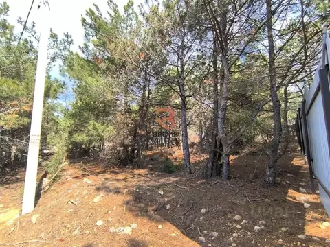 Участок в Севастополь пер. Кофейный, 5 (9.0 сот.)