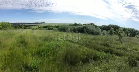 Участок в Белгородская область, Белгородский район, Дубовское с/пос, ...