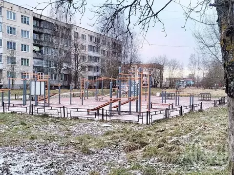 2-к кв. Ленинградская область, Гатчинский муниципальный округ, д. ...