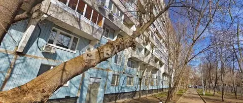 1-к кв. Москва Донецкая ул., 15 (39.1 м)