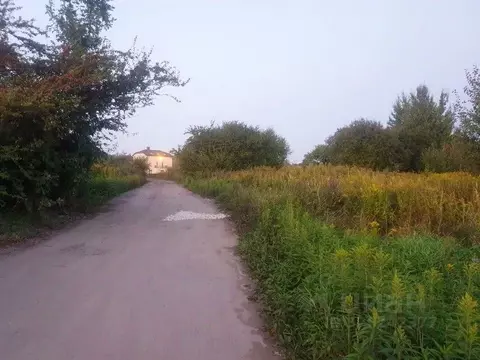 Участок в Калининградская область, Калининград пос. Чайковского, ул. ...