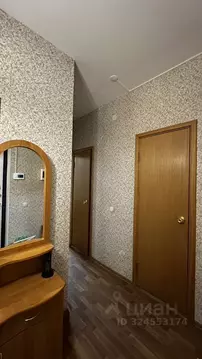 1-к кв. Санкт-Петербург Туристская ул., 11к2 (44.0 м)