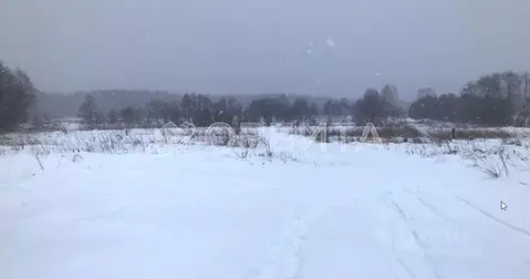 Участок в Свердловская область, Тугулымский муниципальный округ, д. ...