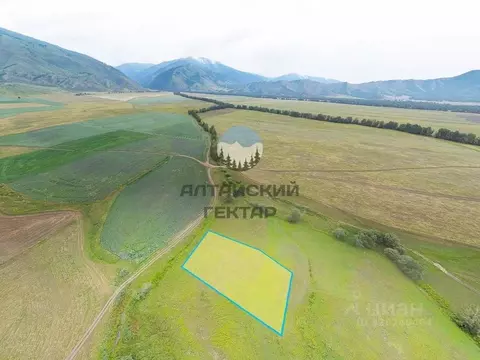 Участок в Алтай, Усть-Коксинский район, с. Катанда  (20.0 сот.)