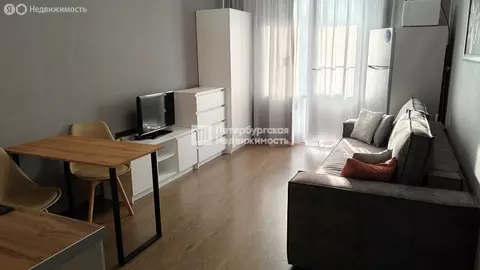 Квартира-студия: Санкт-Петербург, проспект Энергетиков, 11к2 (24.1 м)
