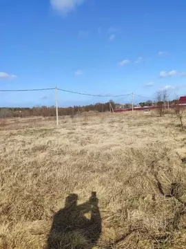 Участок в Калининградская область, Зеленоградский муниципальный округ, ...