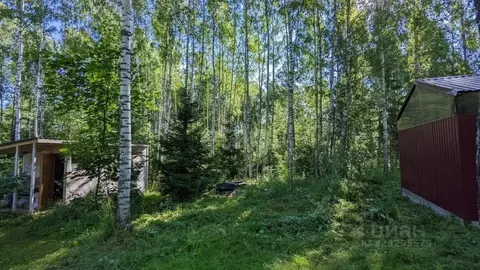 Участок в Калужская область, Дзержинский муниципальный округ, Рудня ...