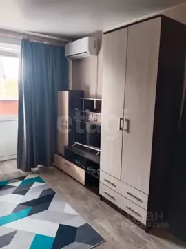 Студия Амурская область, Благовещенск Новая ул., 44 (24.0 м)