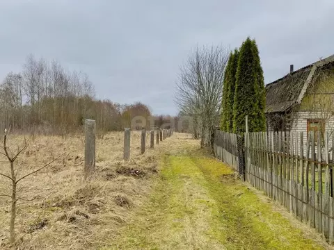 Участок в Псковская область, Печоры Вишенка садовое товарищество,  ...
