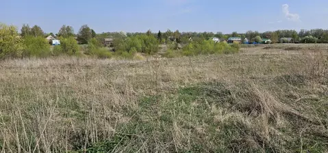 Участок в Московская область, Луховицы муниципальный округ, д. ...