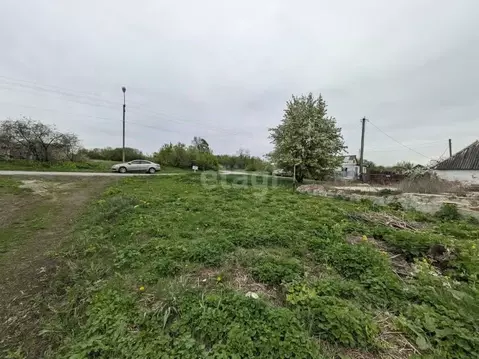 Участок в Белгородская область, Шебекинский муниципальный округ, с. ...