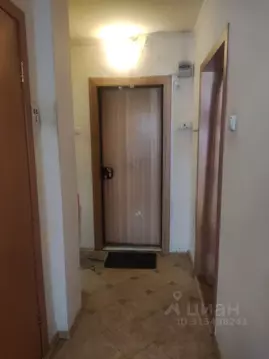 1-к кв. Красноярский край, Красноярск ул. Академгородок, 17А (27.1 м)