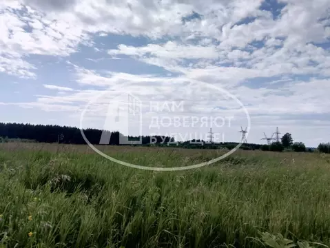 Участок в Пермский край, Кунгурский муниципальный округ, д. Шарташи ...