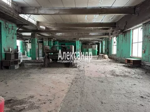 Помещение свободного назначения в Ленинградская область, Коммунар г. ...