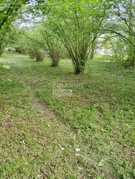 Участок в Краснодарский край, Туапсинский муниципальный округ, ...