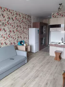 Студия Приморский край, Владивосток ул. Зеленый Бульвар, 19 (27.0 м)