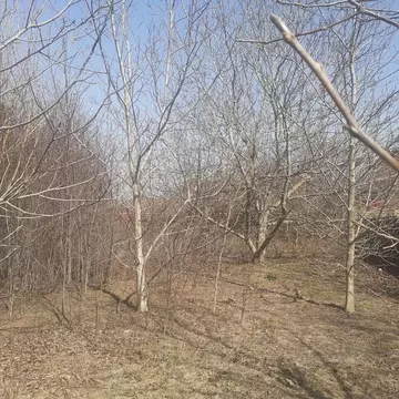 Участок в Краснодарский край, Анапа муниципальный округ, с. ...