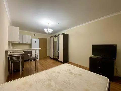 Студия Ленинградская область, Мурино Всеволожский район, ул. ...