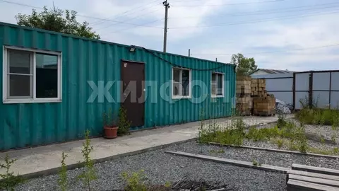 Участок в Новосибирская область, Новосибирск Лилия СНТ, ул. ...