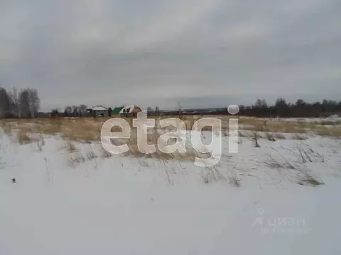 Участок в Курганская область, Шадринск ул. Фофанова (10.0 сот.)