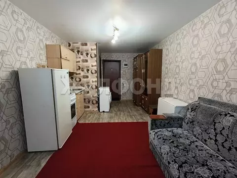 Студия Алтайский край, Барнаул ул. Эмилии Алексеевой, 60 (18.2 м)