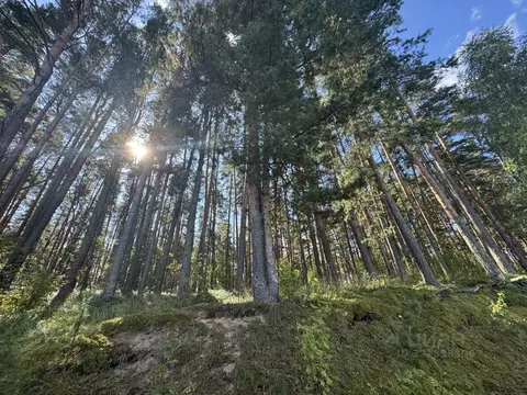 Участок в Тверская область, Конаковский муниципальный округ, д. ...