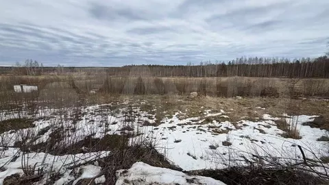 Участок в Ленинградская область, Приозерский район, Громовское с/пос, ...