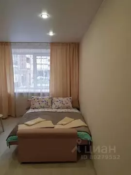 Студия Псковская область, Псков ул. Балтийская, 10 (23.0 м)