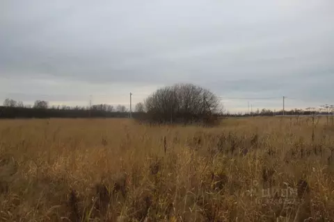 Участок в Московская область, Шаховская муниципальный округ, с. Белая ...