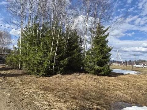 Участок в Московская область, Клин городской округ, Лесная Опушка дп ...