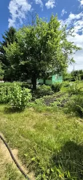 Дом в Воронежская область, Воронеж Дружба СНТ, ул. Березовая, 20 (36 ...