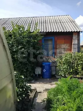 Дом в Курганская область, Курган Золотая Нива СНТ,  (20 м)