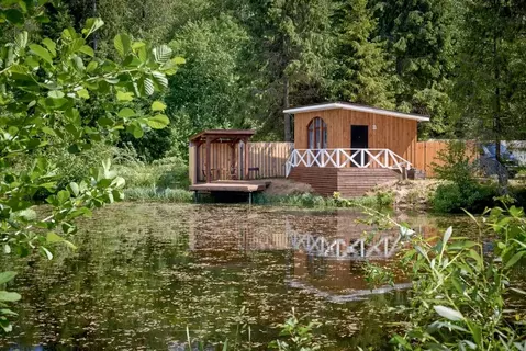 Дом в Ленинградская область, Тосненский район, Шапкинское с/пос, пос. ...