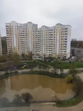 1-к кв. Московская область, Щелково Центральная ул., 96к2 (43.5 м)