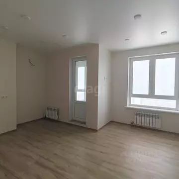 Студия Башкортостан, Уфа Кустарная ул., 19 (27.56 м)