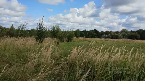 Участок в Московская область, Можайский муниципальный округ, д. ...